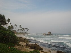 Near Koggala beach