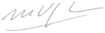 Mario vargas llosa signature transparent.png