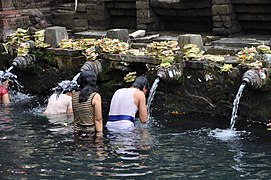 Tirtha Empul Temple - Purification.jpg