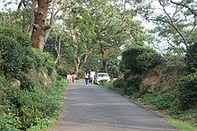 Mann Tea Estate, Dharamsala.