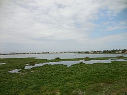 Ambattur lake at dry season.jpg