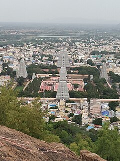 Thiruvannamalai Temple view from Skandasramam - Ramanashram pathway10.jpg