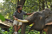 Kumki Latest Unseen Onlocation Stills.jpg