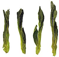 Fresh Hou Kui Green Tea Leaves.jpg