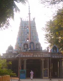 Tiruvaduthurai gomuktisvarar temple2.jpg