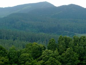 A Landscape of Ooty8.jpg