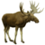 The deer of all lands (1898) Elk white background.png