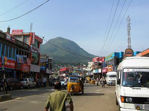 Gudalur 86.jpg