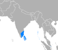 07:13, 11 ஏப்ரல் 2024 -ல் இருந்த பதிப்பின் சிறு தோற்றம்