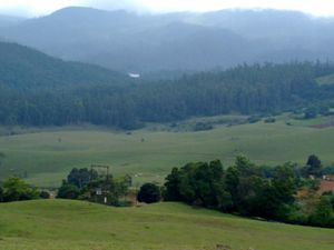 A Landscape of Ooty9.jpg