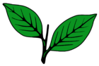 Indian Election Symbol Two Leaves.svg.png