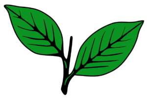 Indian Election Symbol Two Leaves.svg.png