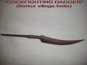 'Cockfighting Dagger'.jpg