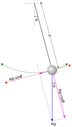 Pendulum gravity.svg.png