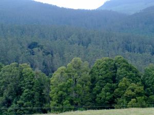 A Landscape of Ooty7.jpg