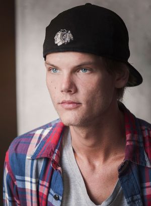 Avicii 2014 003.jpg