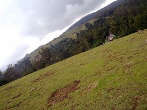 A Landscape of Ooty3.jpg