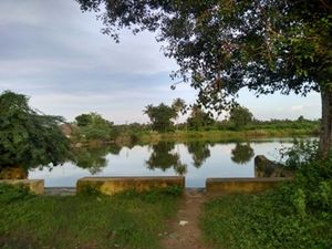 Poovanur sadhuranga vallabanathar temple1.jpg