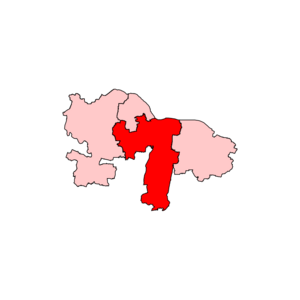 Constitution-Krishnarayapuram.svg.png