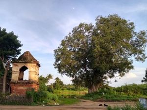 Poovanur sadhuranga vallabanathar temple8.jpg