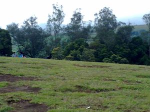 A Landscape of Ooty6.jpg