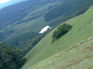 A Landscape of Ooty4.jpg