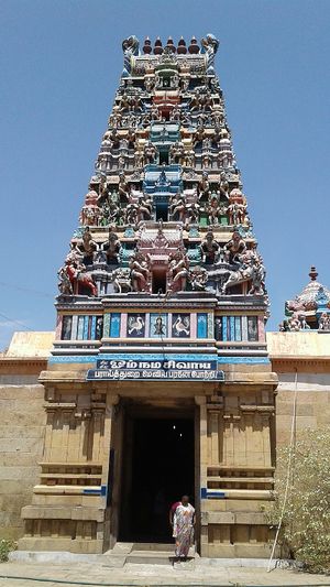 பராய்துறைநாதர் உள்கோபுரம்.jpg