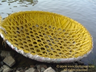 படிமம்:Coracle Hampi.jpg