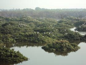 படிமம்:Vedanthangal.JPG