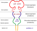 16:36, 7 பெப்பிரவரி 2025 இலிருந்த பதிப்புக்கான சிறு தோற்றம்