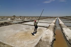 படிமம்:Marakkanam Salt Pans.JPG