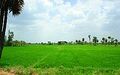 16:09, 7 பெப்பிரவரி 2025 இலிருந்த பதிப்புக்கான சிறு தோற்றம்