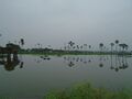 15:45, 7 பெப்பிரவரி 2025 இலிருந்த பதிப்புக்கான சிறு தோற்றம்
