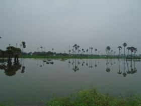 படிமம்:Kadanganeri4.JPG