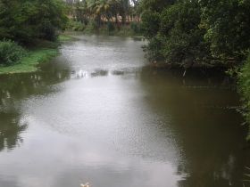 படிமம்:ChiraruAtSpring.jpg